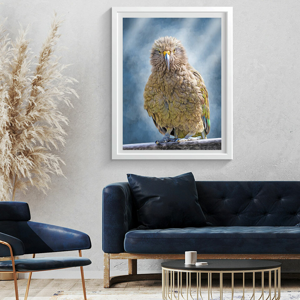 NZ Art Prints of Birds