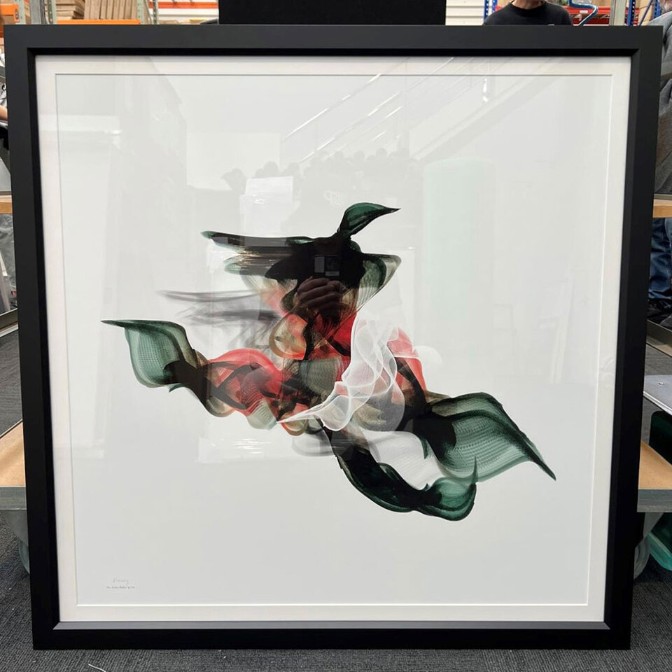 Limited Edition art print of abstract mallard bird in Black frame by Willa Black prints nz