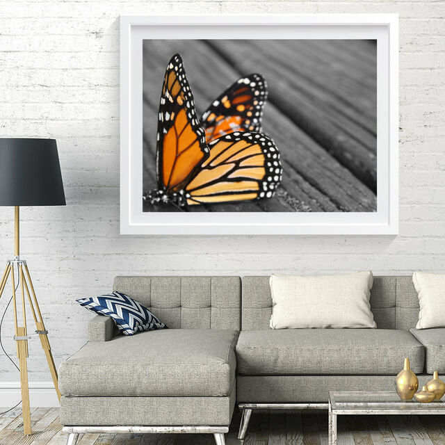 Photo Art Print - The Fallen Monarch