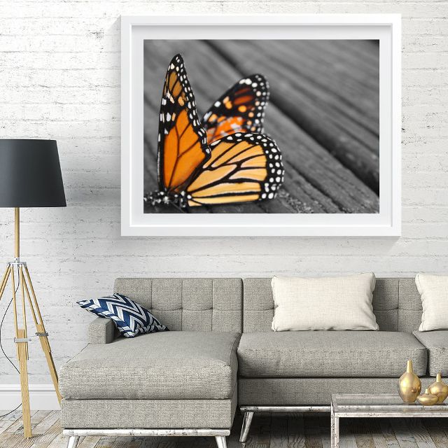 Photo Art Print - The Fallen Monarch
